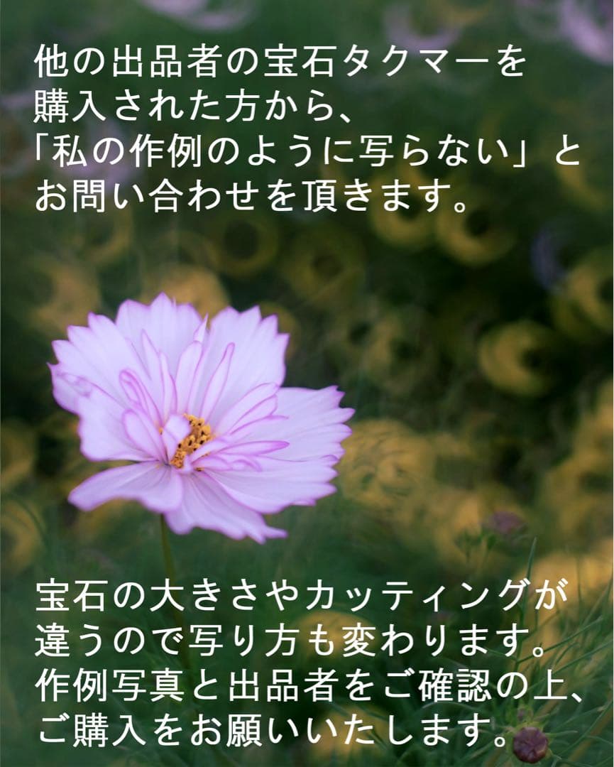 宝石レンズ_SMC_Takumar 55mm_f1.8_ay