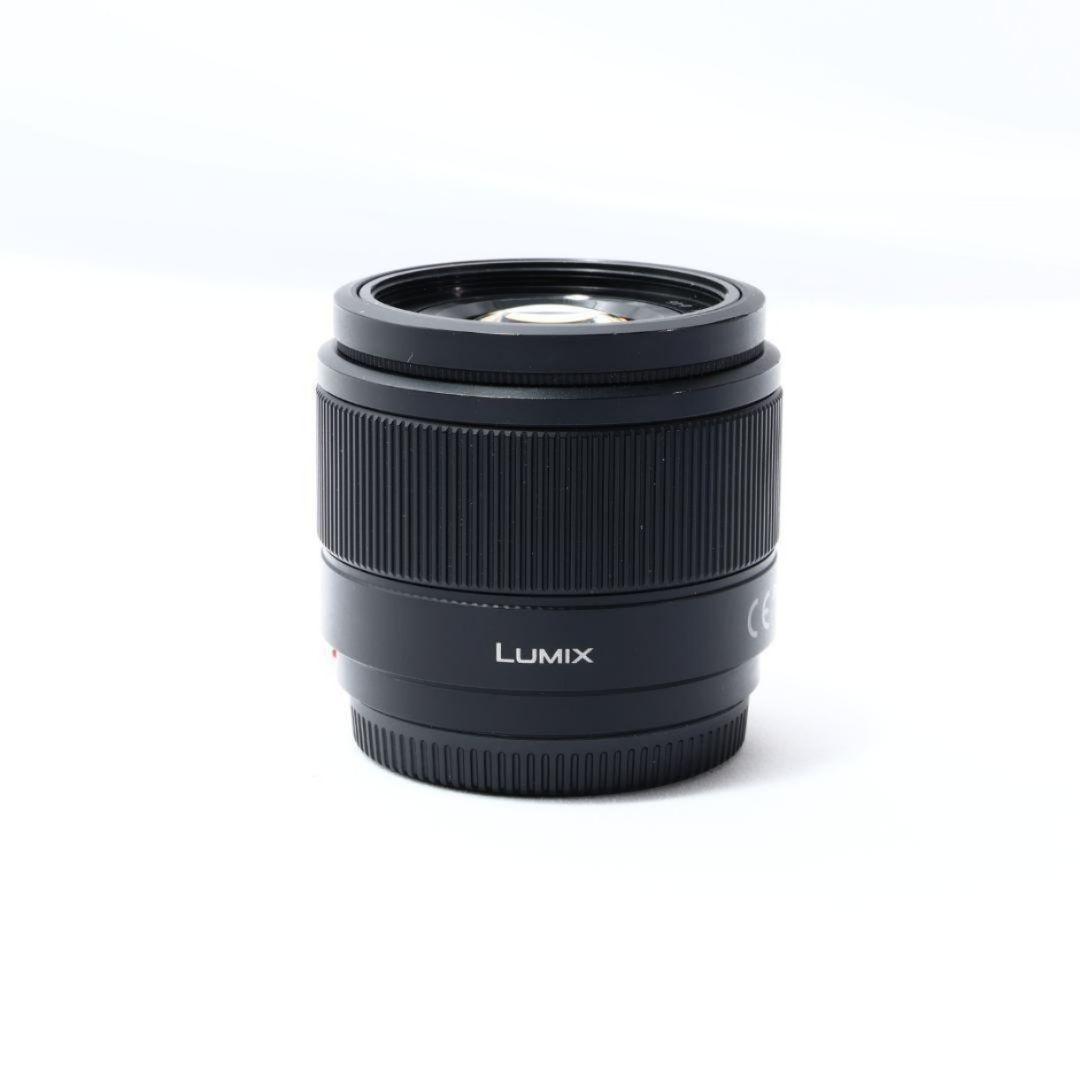 Panasonic Lumix G 25mm/ F1.7 ASPH 単焦点レンズ