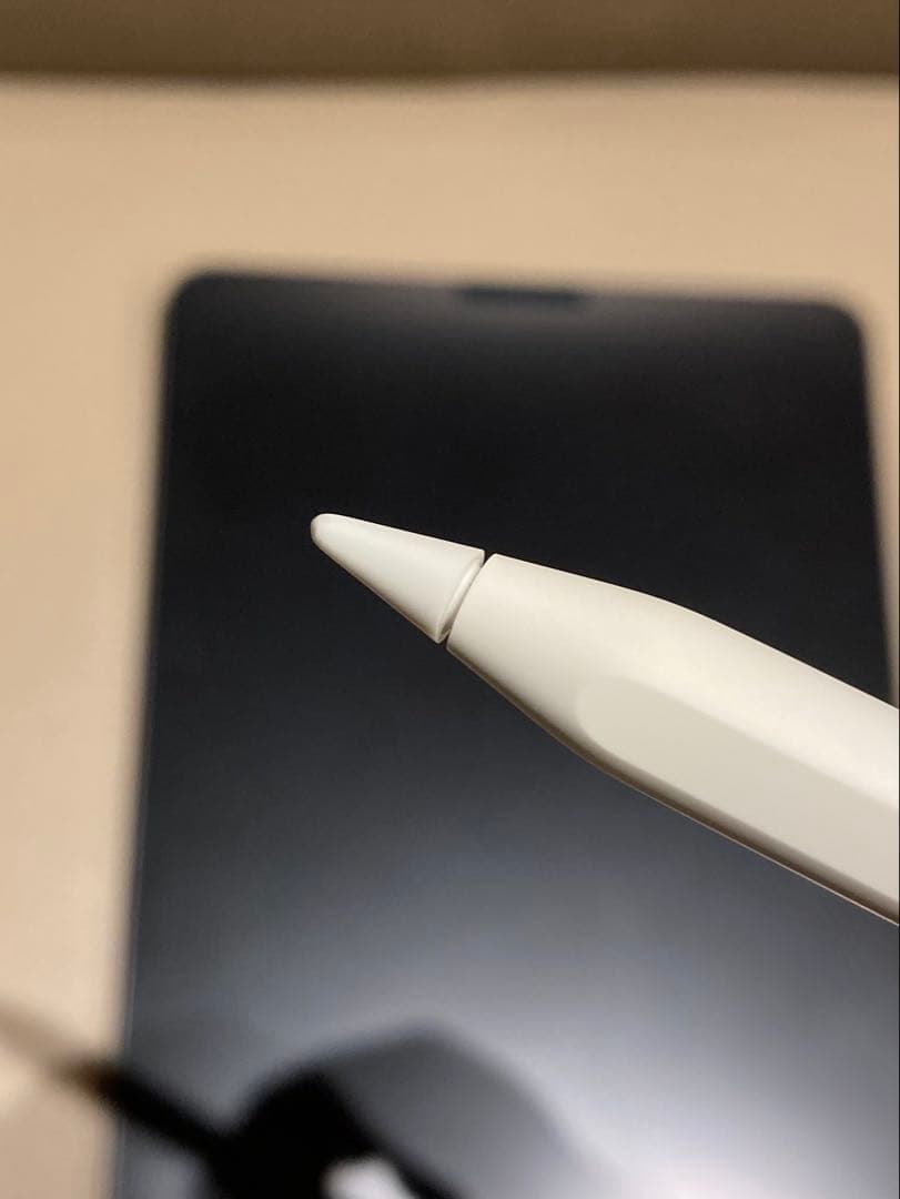 【極美品】iPad Pro 11 1世代 Wi-Fi 256GB グレイ　ペン付