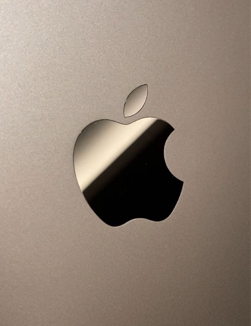 【極美品】iPad Pro 11 1世代 Wi-Fi 256GB グレイ　ペン付