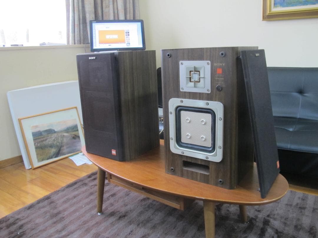 SONY APM-22ES 希少 Rosewood 連番 メンテナンス済み