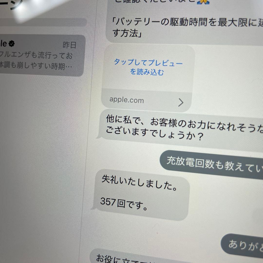 iPad mini5 第５世代　256GB Wi-Fi 割れなし