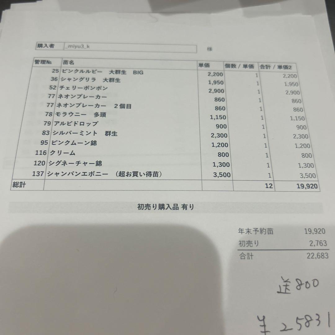 13._miyu3様