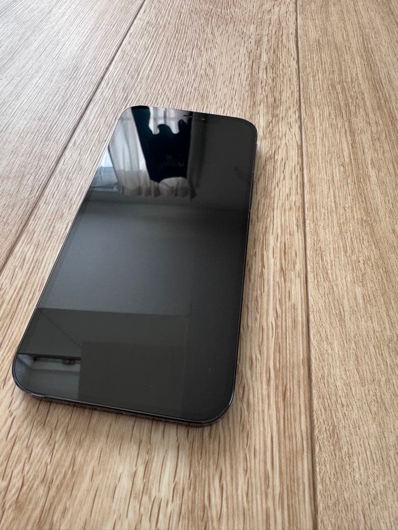 iPhone 12 Pro Max 256GB Pacific Blue 動作良