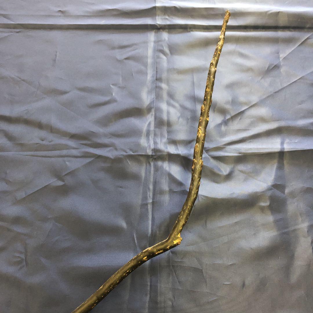 海松　原木　黒珊瑚　長さ90cm根本枝直径３cm