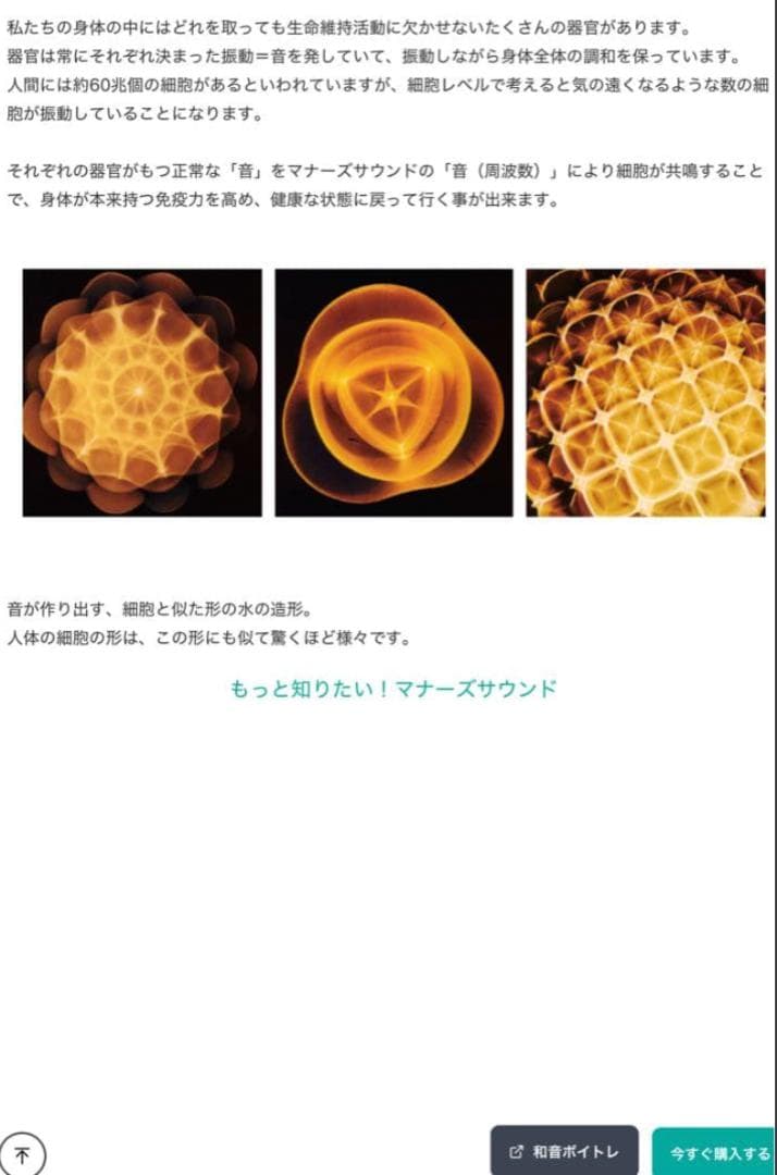 【限定コラボ】Perfect 10 Awaken10マナーズサウンド　物部彩花