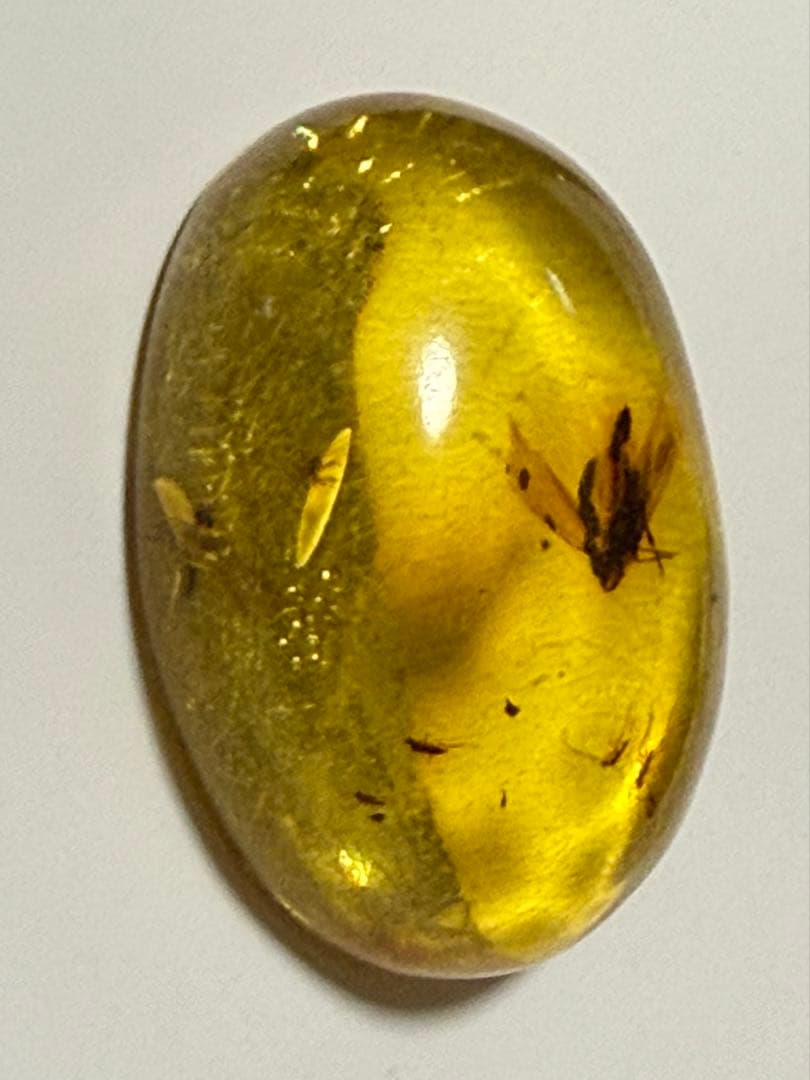 新品未使用 バルティックアンバー 虫入り琥珀 カボション ルース 1/2
