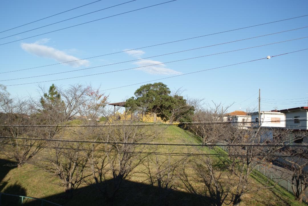 レンズ(単焦点) Minolta AF 20mm F/2.8 #6952