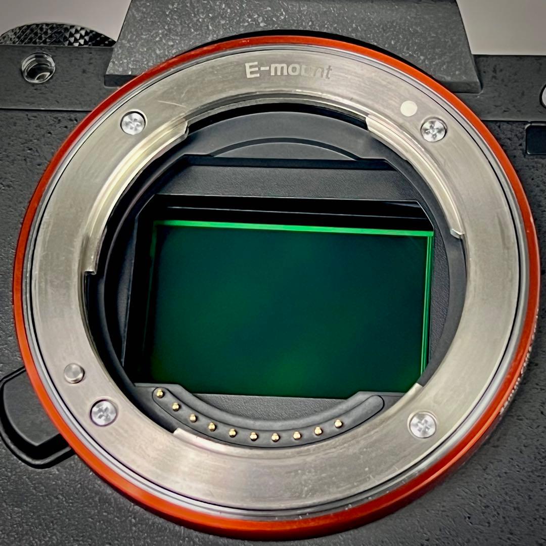 SONY α7II＋FE90mm マクロセット 「極上美品」