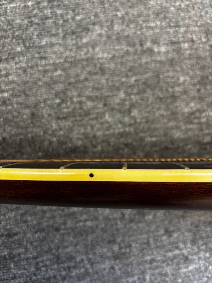 Cat's Eyes CE-300 アコースティックギター Tokai楽器