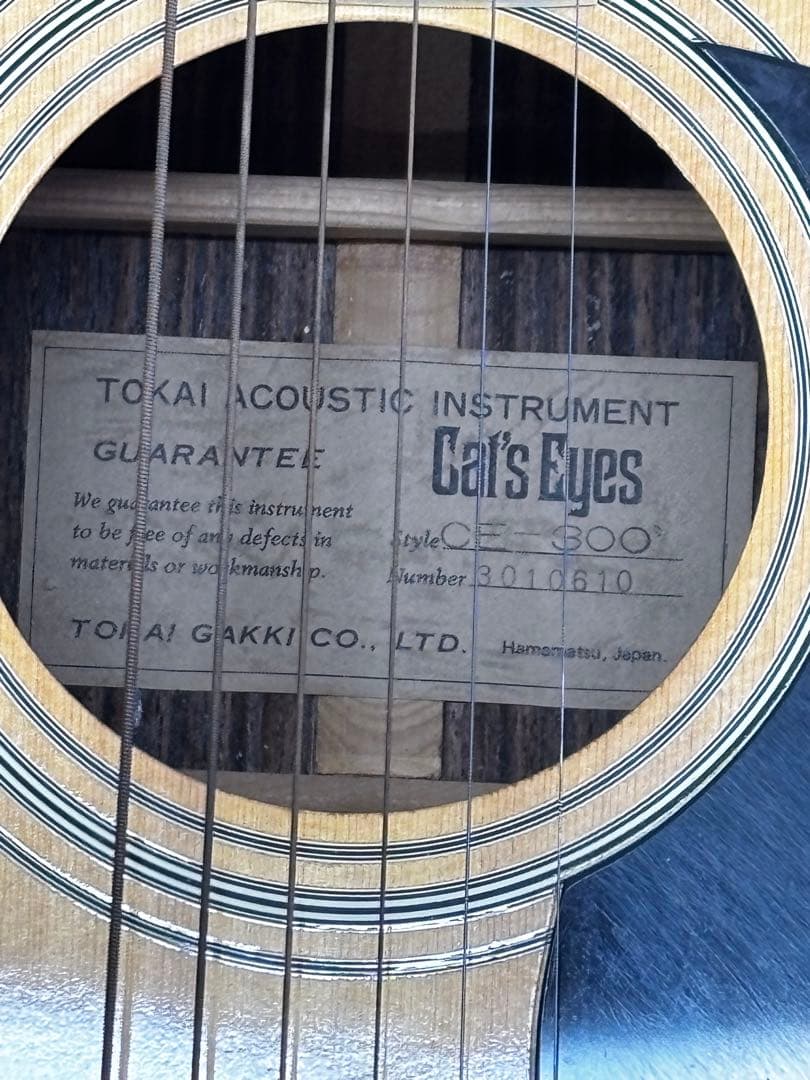 Cat's Eyes CE-300 アコースティックギター Tokai楽器