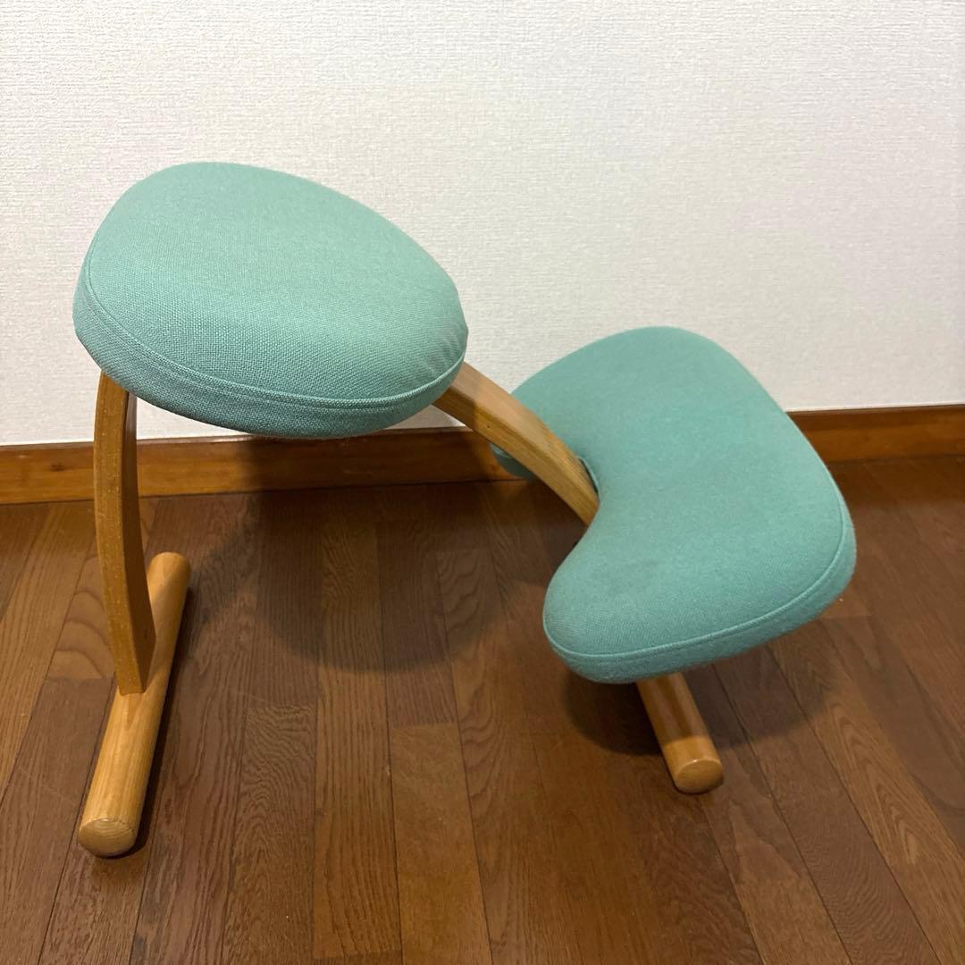 【匿名配送】バランスイージー Rybo 通常フレーム