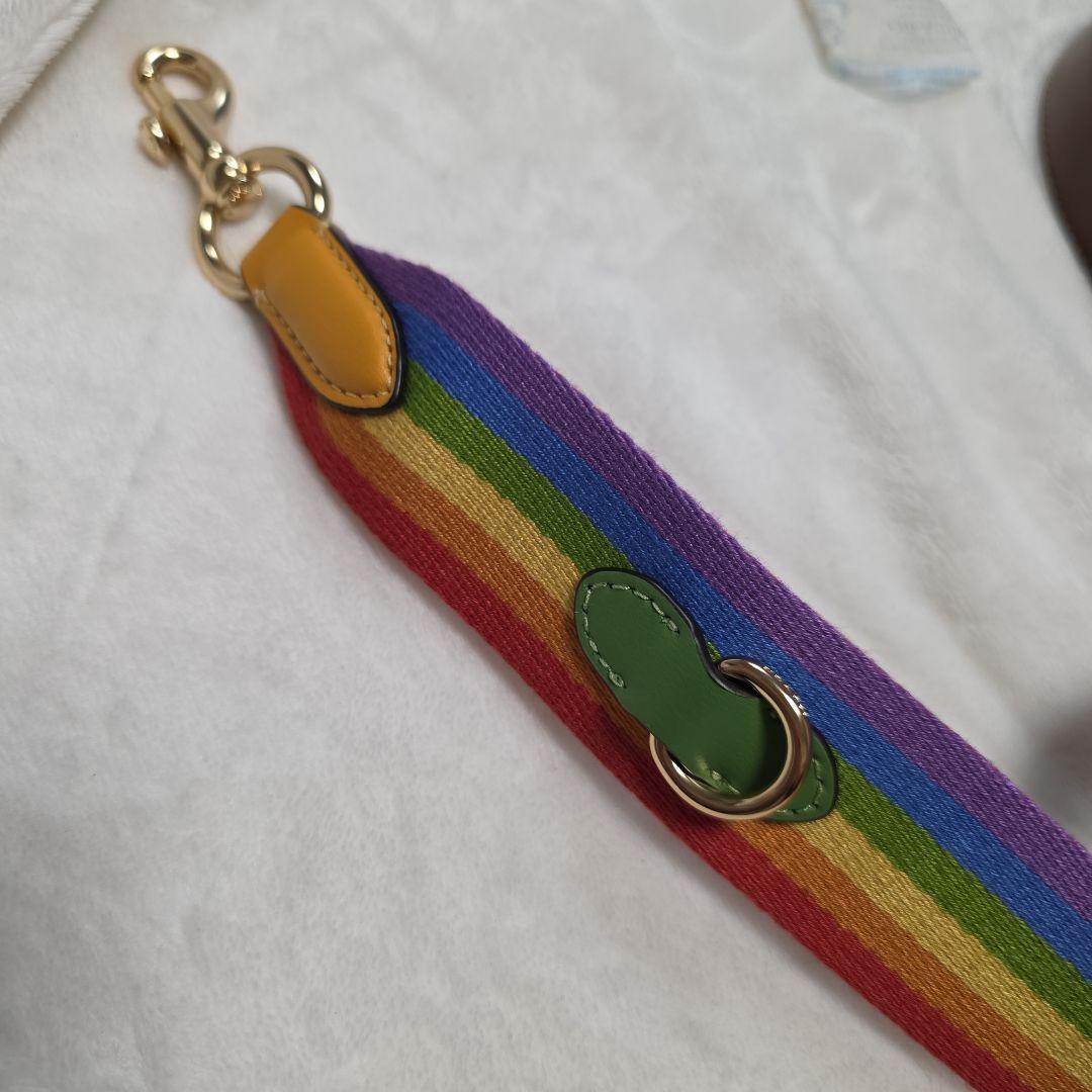 Coach マルチカラー ショルダーバッグ