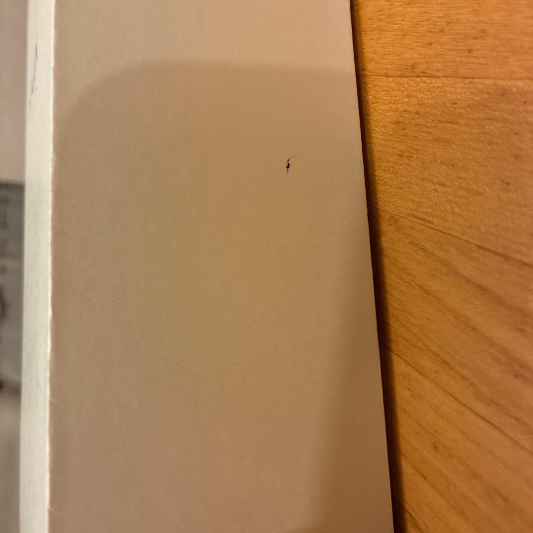 NIPLUX EMS LIFT BRUSH 美顔器