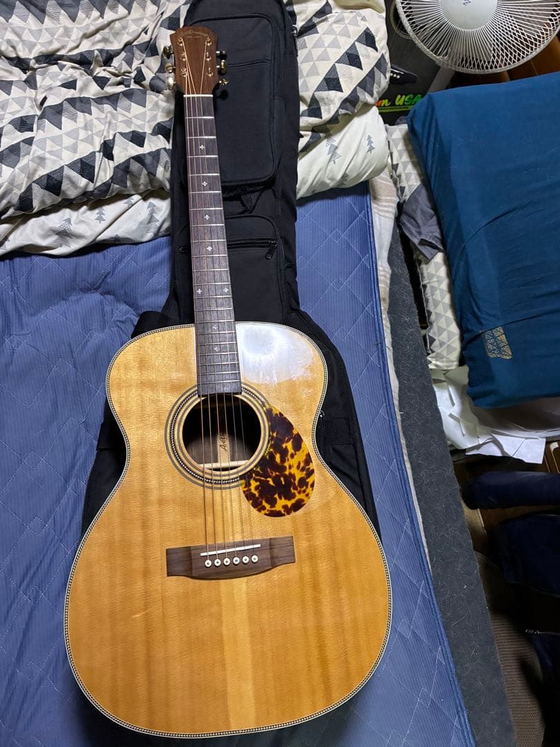 ARIA Dreadnought AF−505 オール単板！スノーフレーク