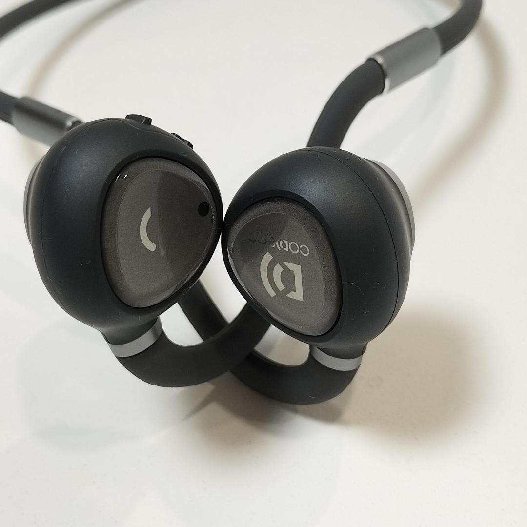 【Pit Bull】コデオン 集音器 CODEON 集音器 骨伝導