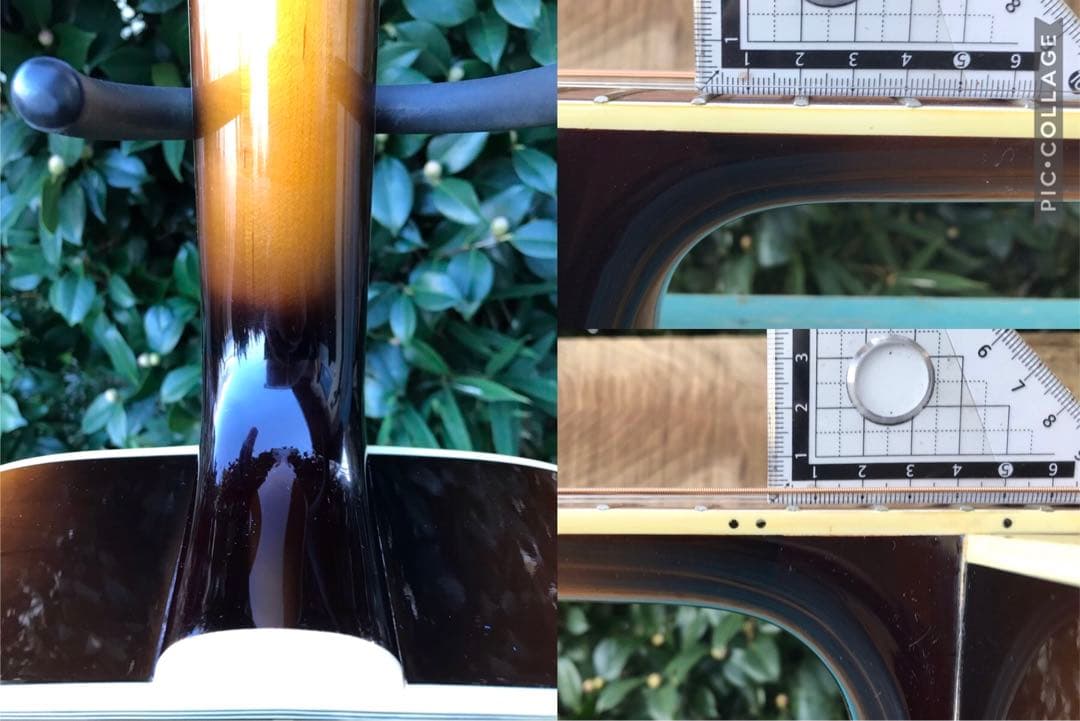 Orville by Gibson DOVE ギブソン