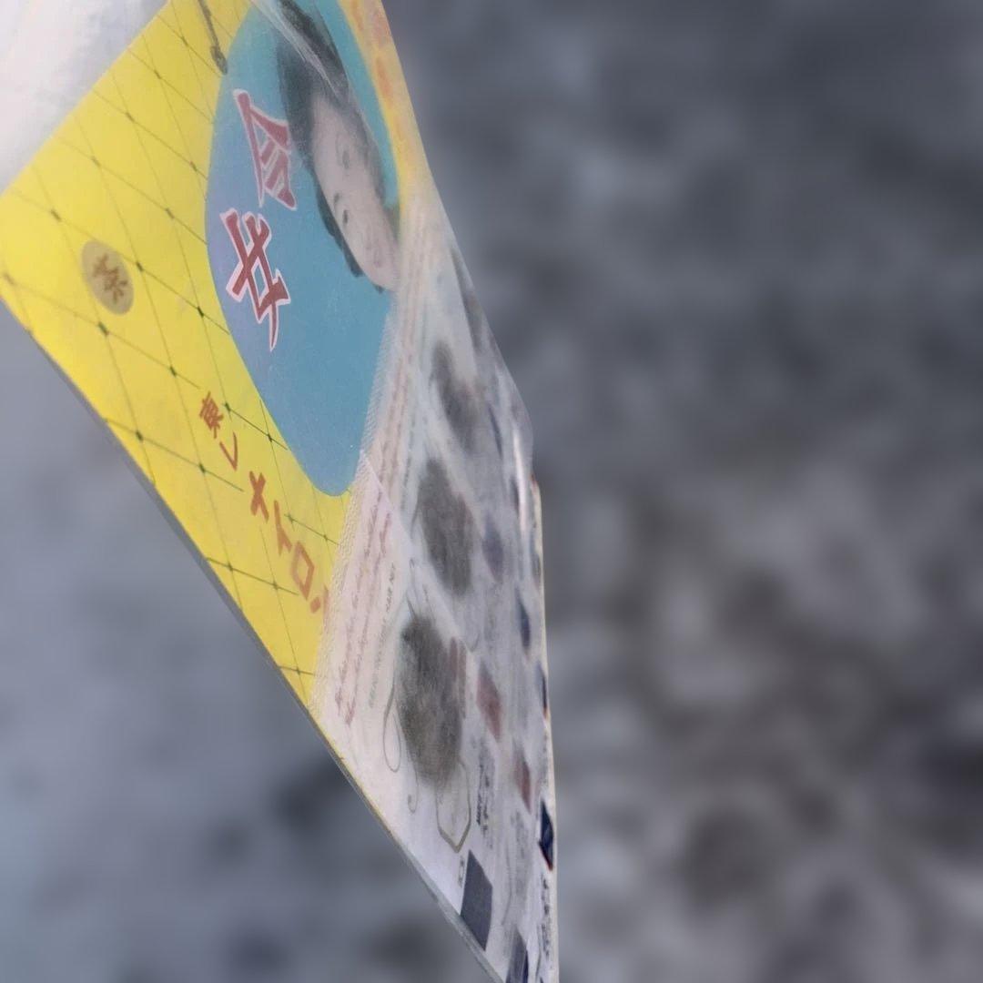 レトロ東レ　　ヘヤーネット