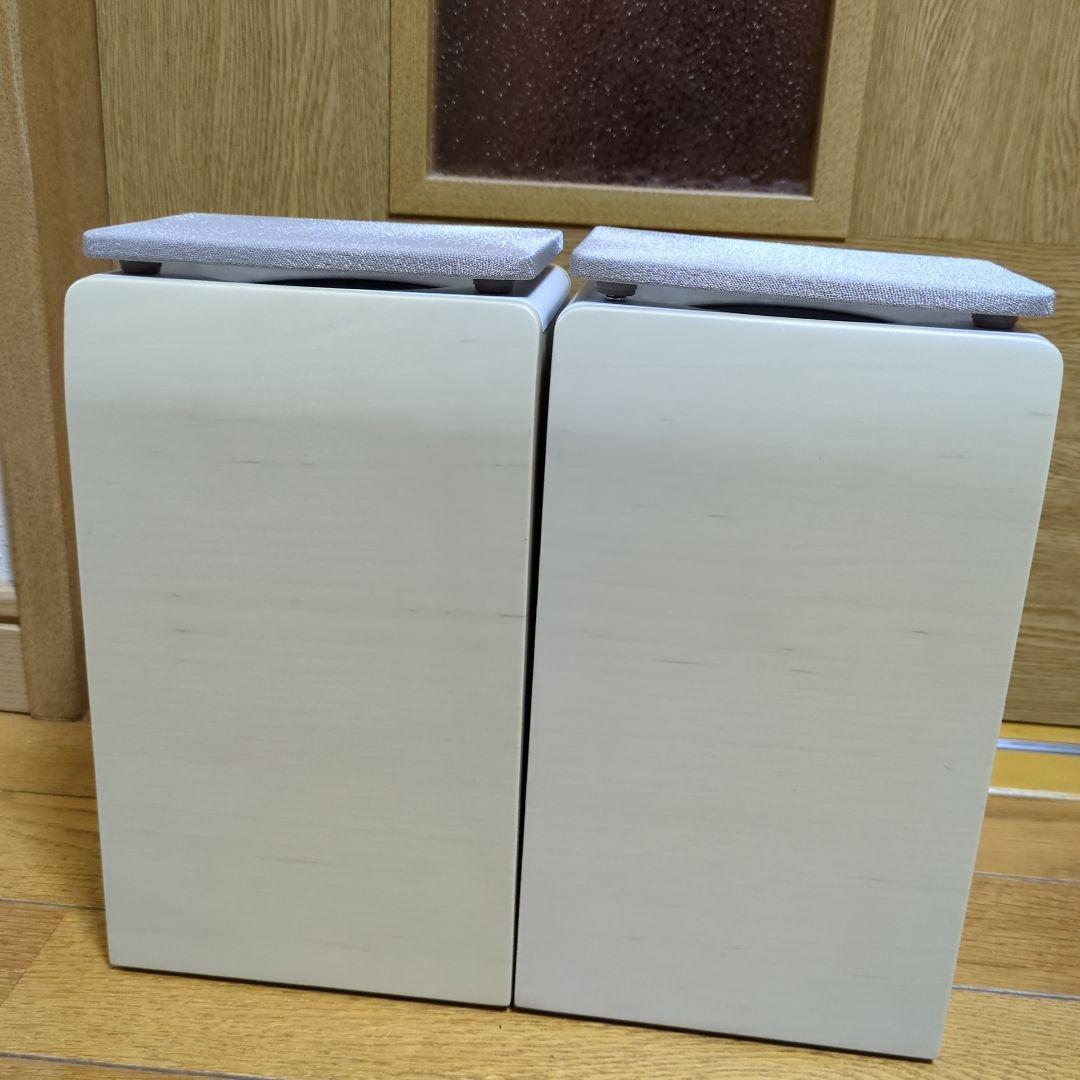 JVCケンウッド CA-EXS3-C