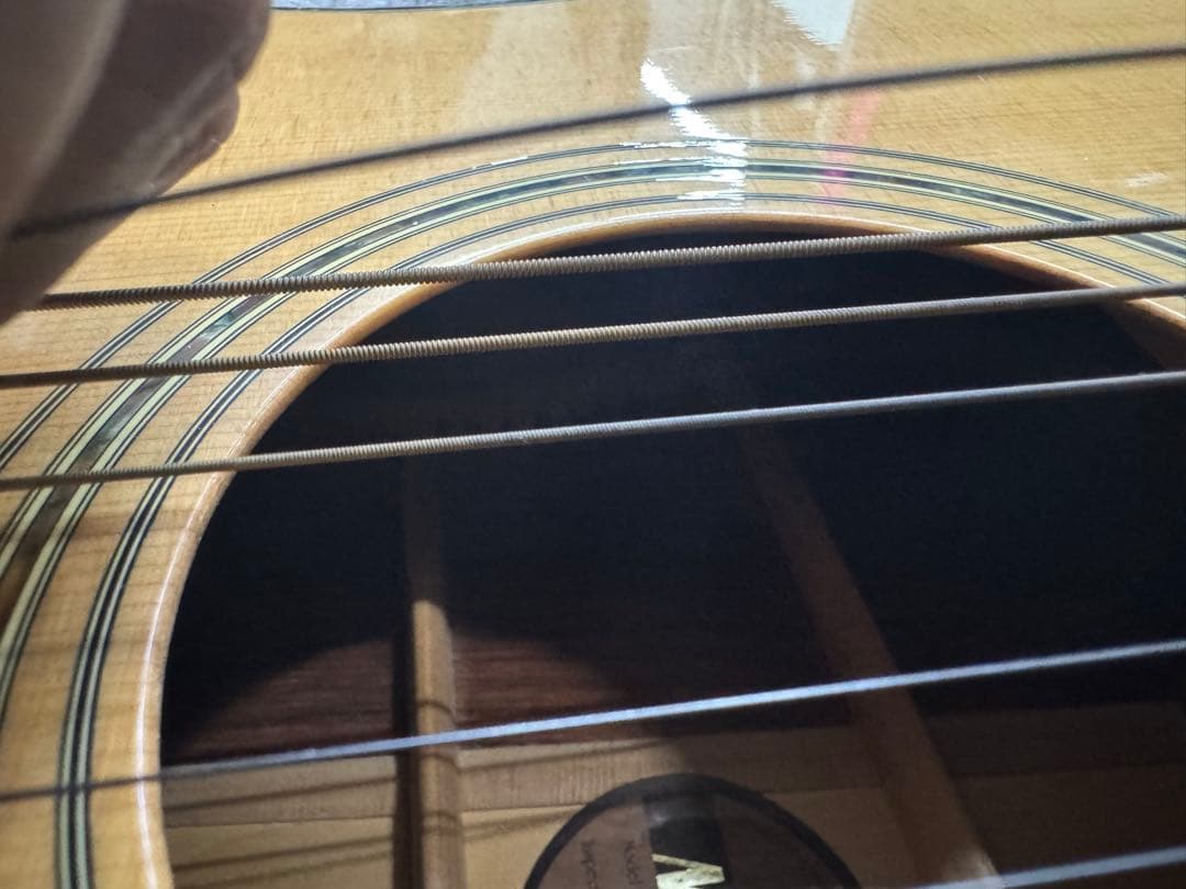 MORRIS TF-801 アコースティックギター