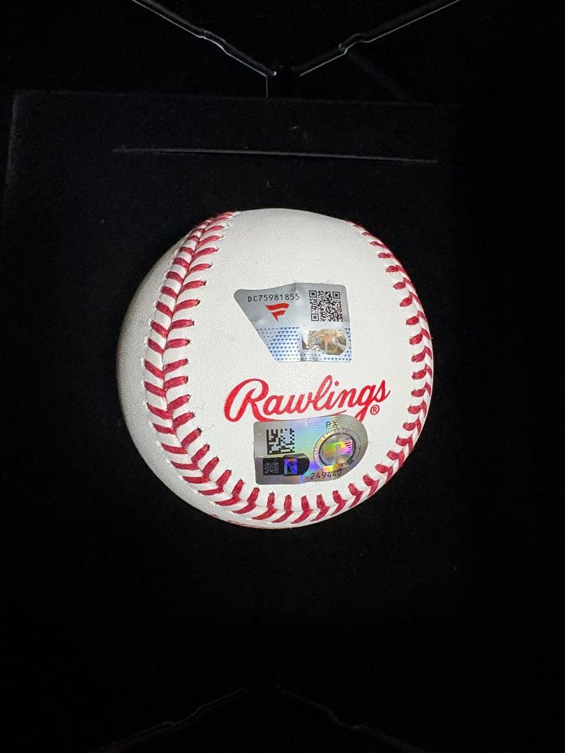 直筆★ David Wells（デビット・ウェルズ）サインボール