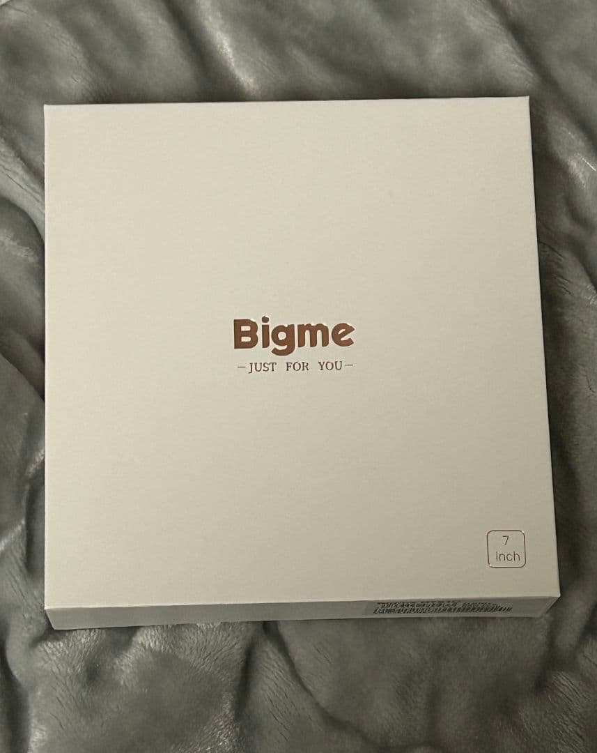 サンセベリア Bigme B751C