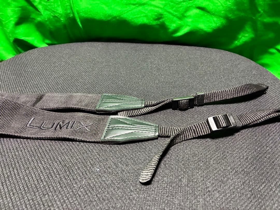 【オマケ多数】LUMIX S5IIX 本体(カメラリグセット)