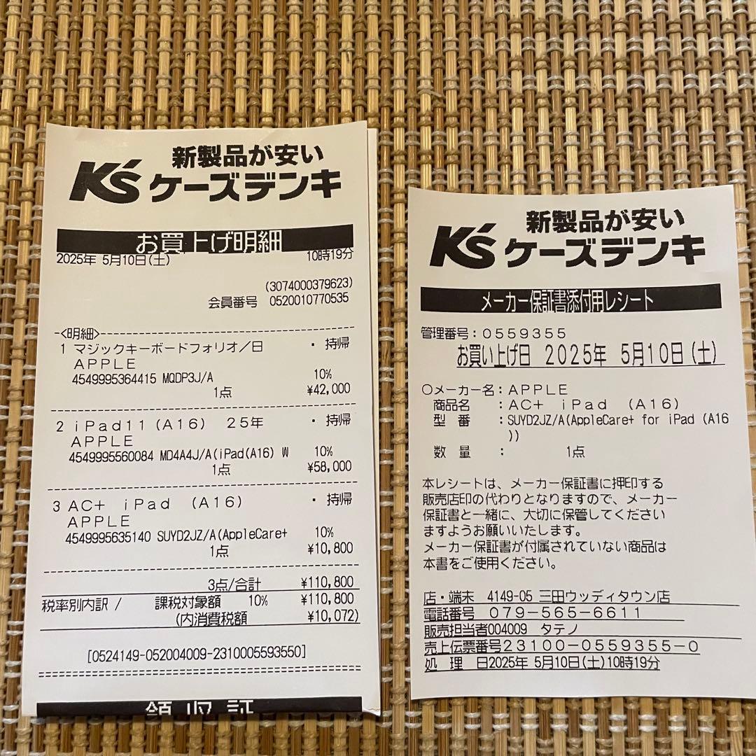 【黒猫！】iPad 本体 ブルー アップルケア付帯