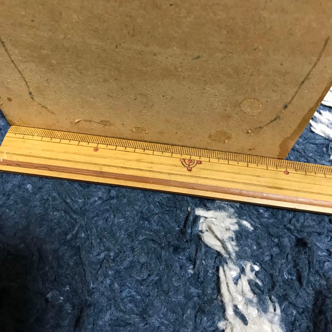 カブトムシ　クワガタ　飛翔標本　タイで購入