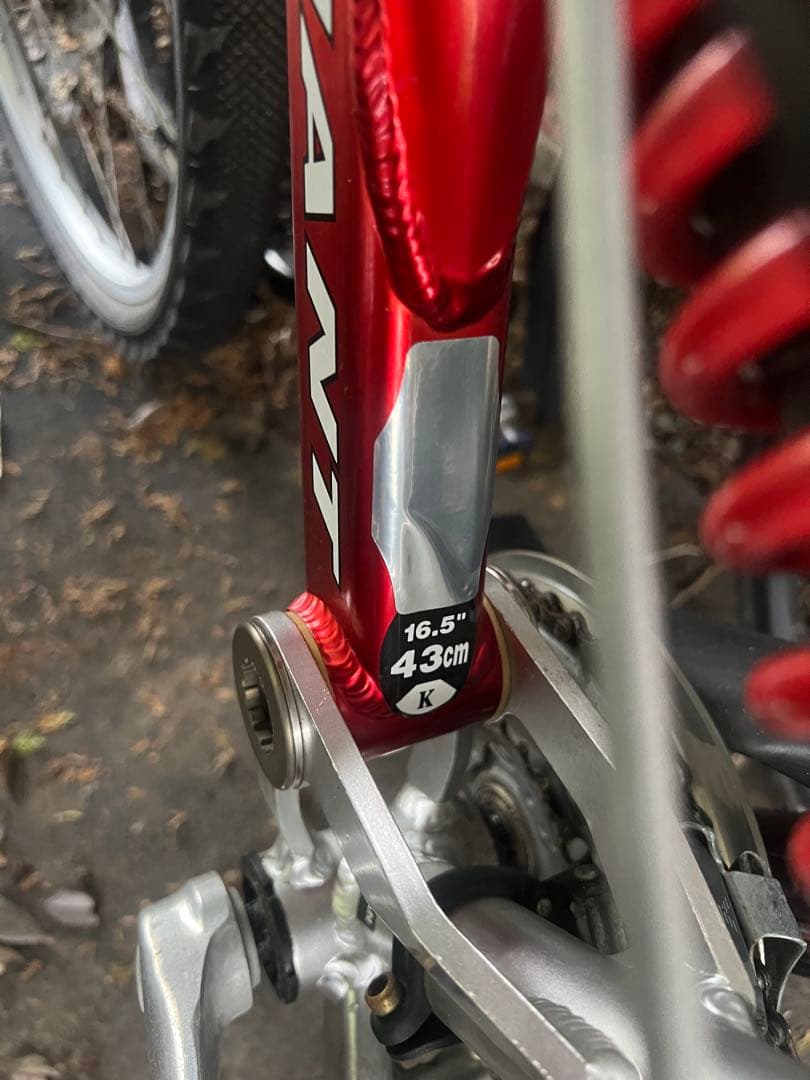 自転車本体 Giant Warp DS 2