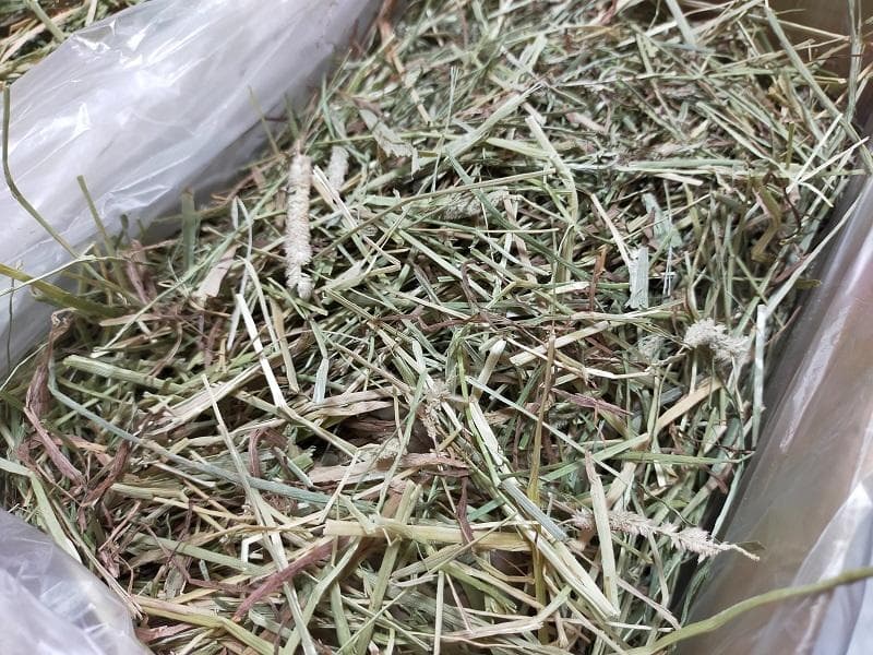 【処分価格】US産 チモシー 75kg ２番刈 ソフトSプレミアム