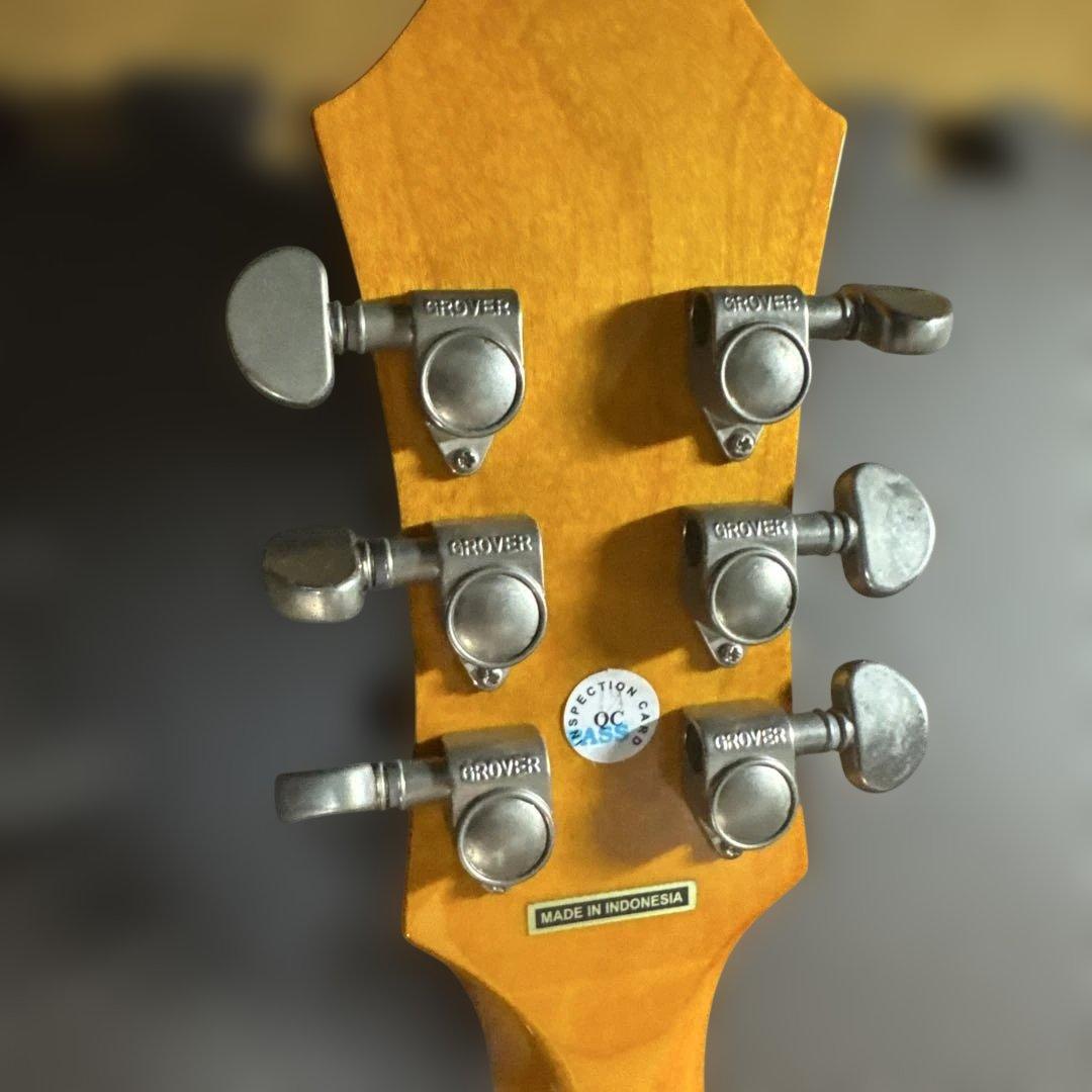 Epiphone / エピフォン Dove PRO/VB　エレアコ　ケース付き