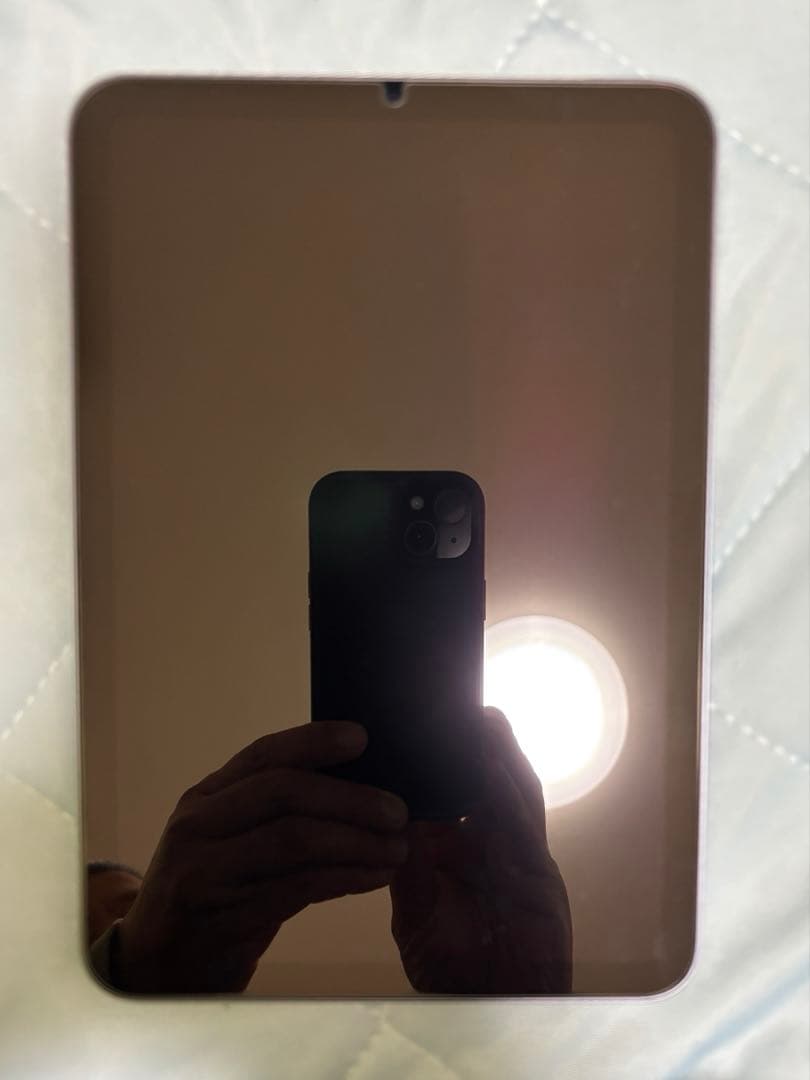 Apple iPad 第６世代　256g Wi-Fi