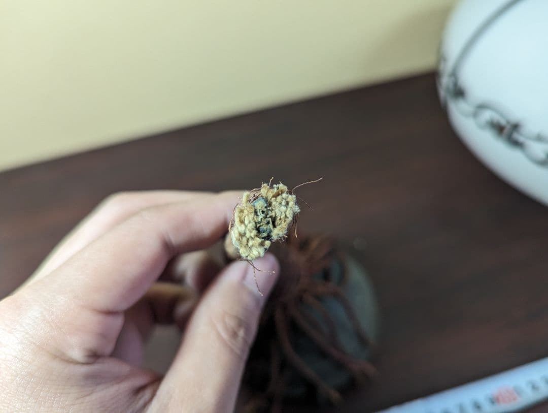 ペンダントライト 照明 昭和レトロ 大正ロマン 乳白色 当時物 アンティーク希少