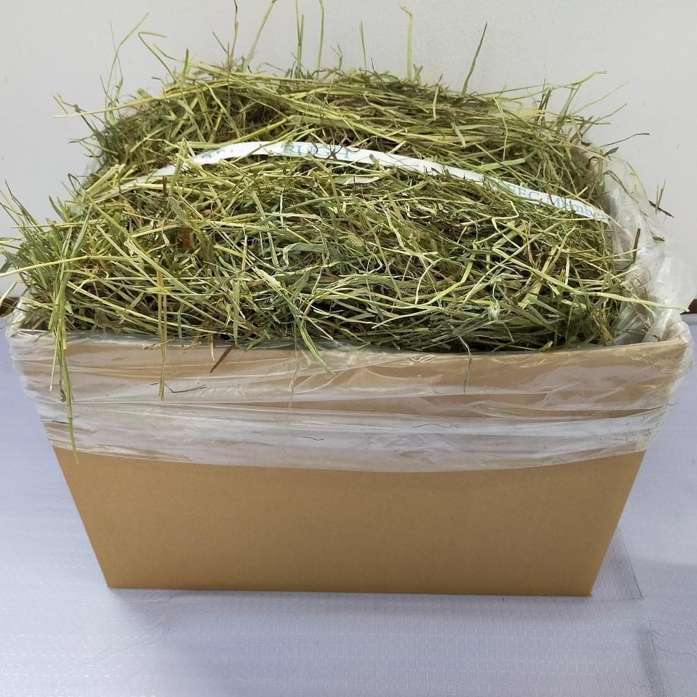 【4/30まで】US産 チモシー 50kg ２番刈り ソフトSプレミアム