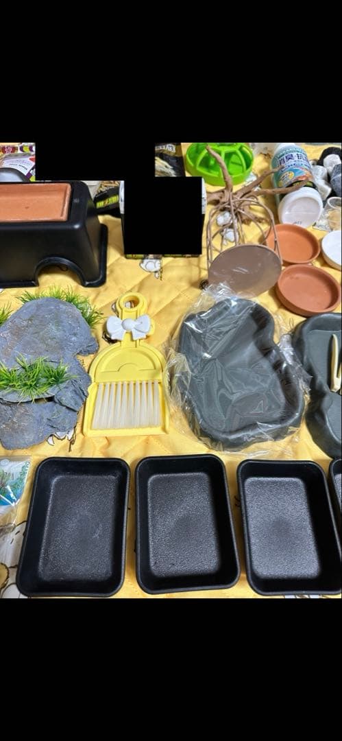 爬虫類・両生類用飼育セットまとめ売り