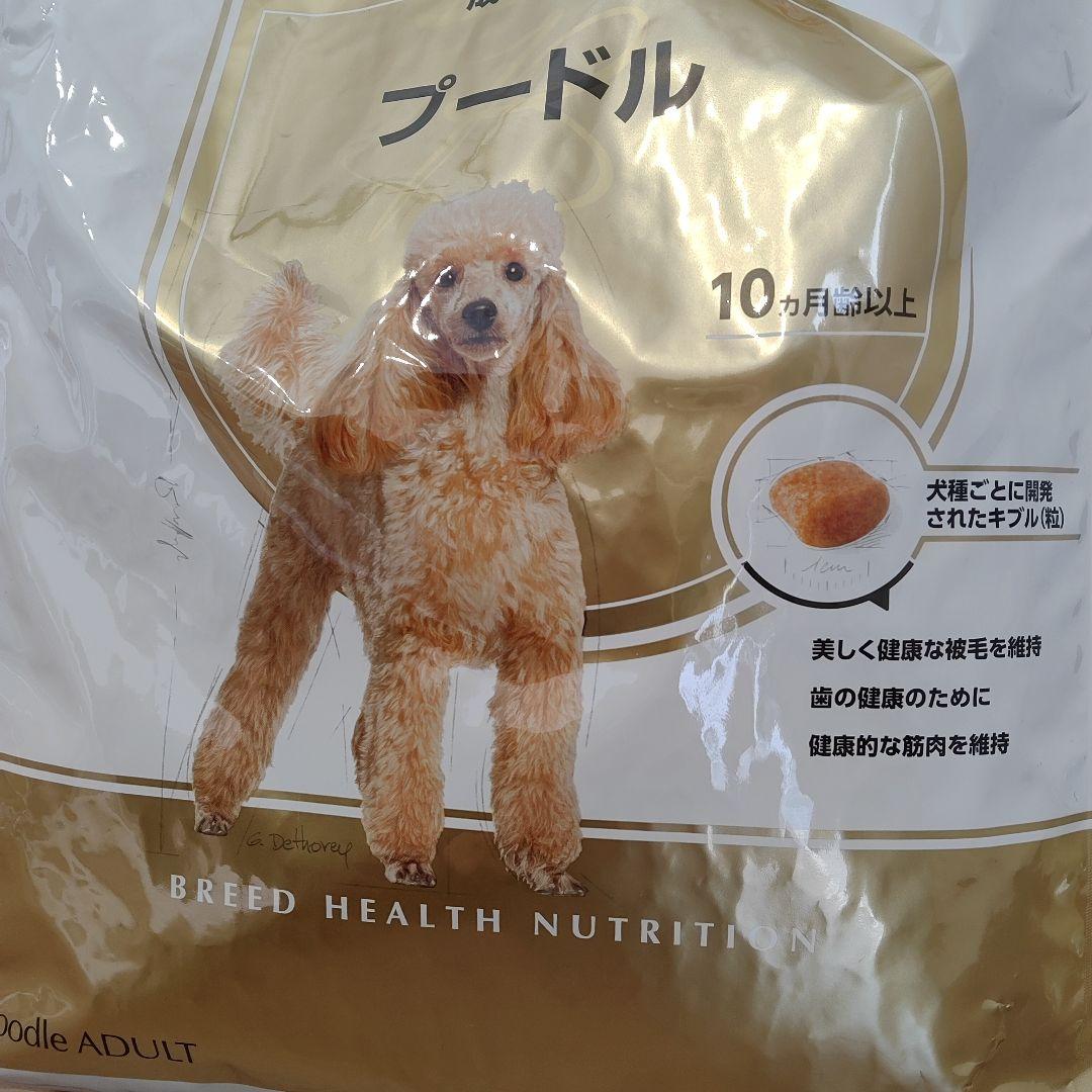  CANIN プードル ドッグフード 3kg 新品 2袋分