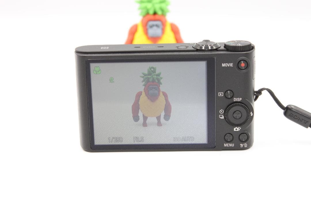 【美品】ソニー SONY Cyber-shot DSC-WX350 ブラック