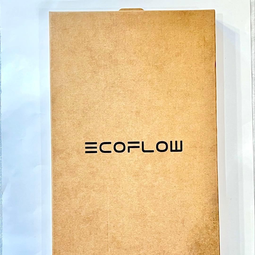 【開封・未使用】EcoFlow black bag DELTA3 専用ケース