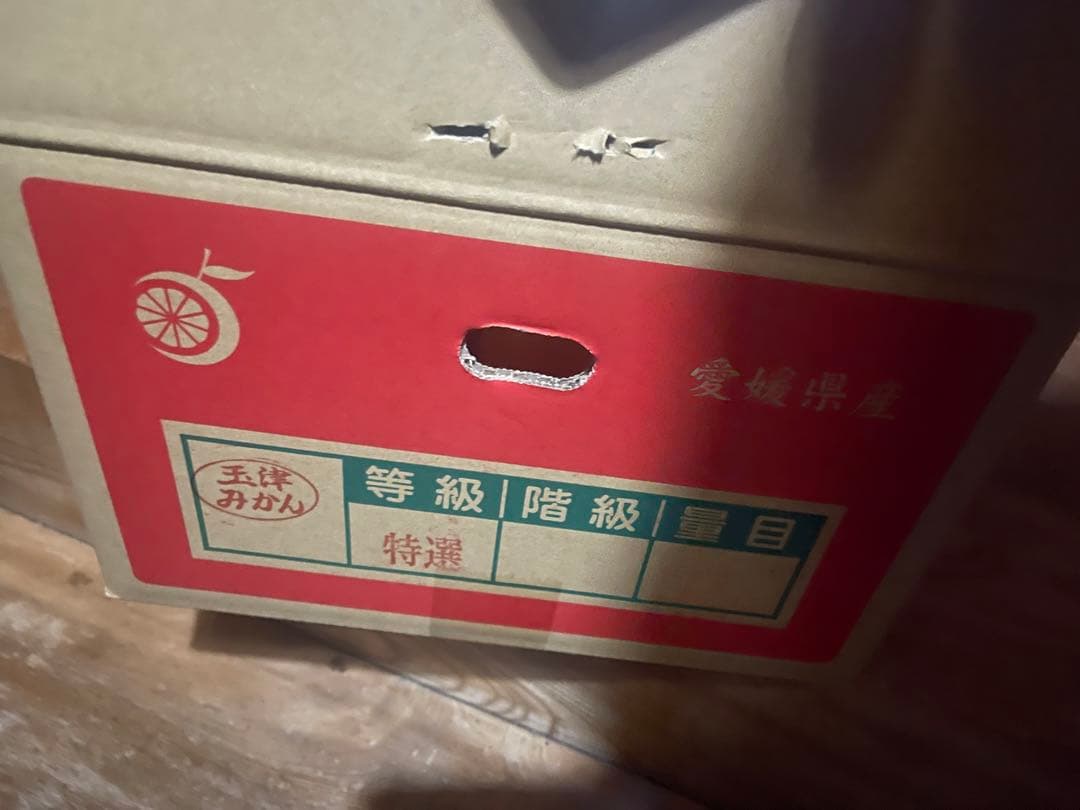 みかん