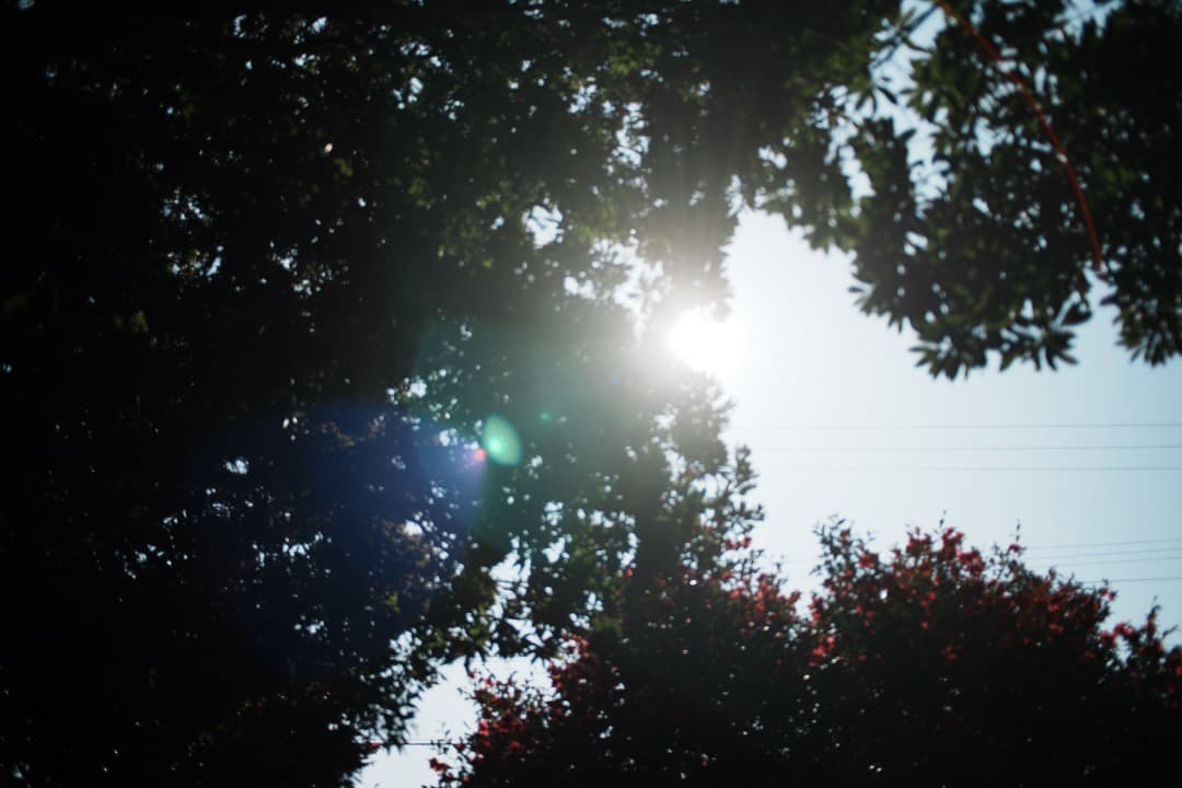 【極美品】動作◎ Nikon Ai Nikkor 28mm F2.8 292