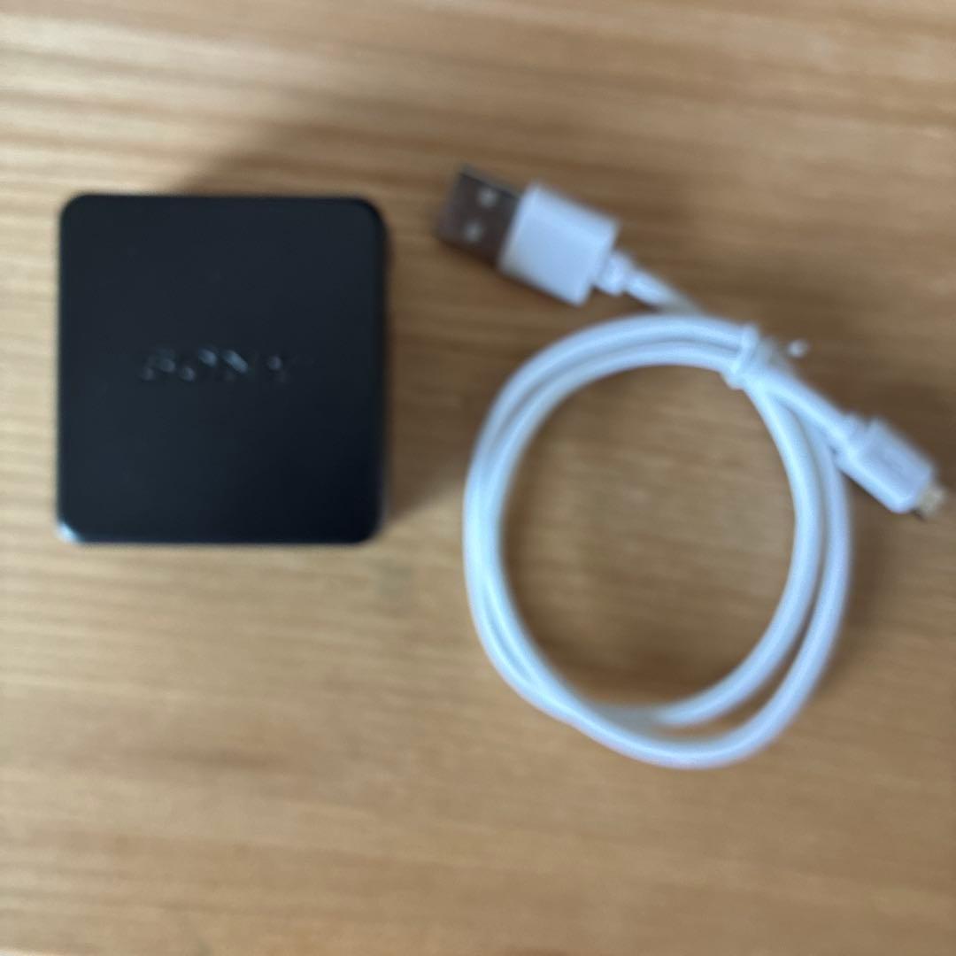 SONY α5100 ミラーレス一眼 本体と付属品