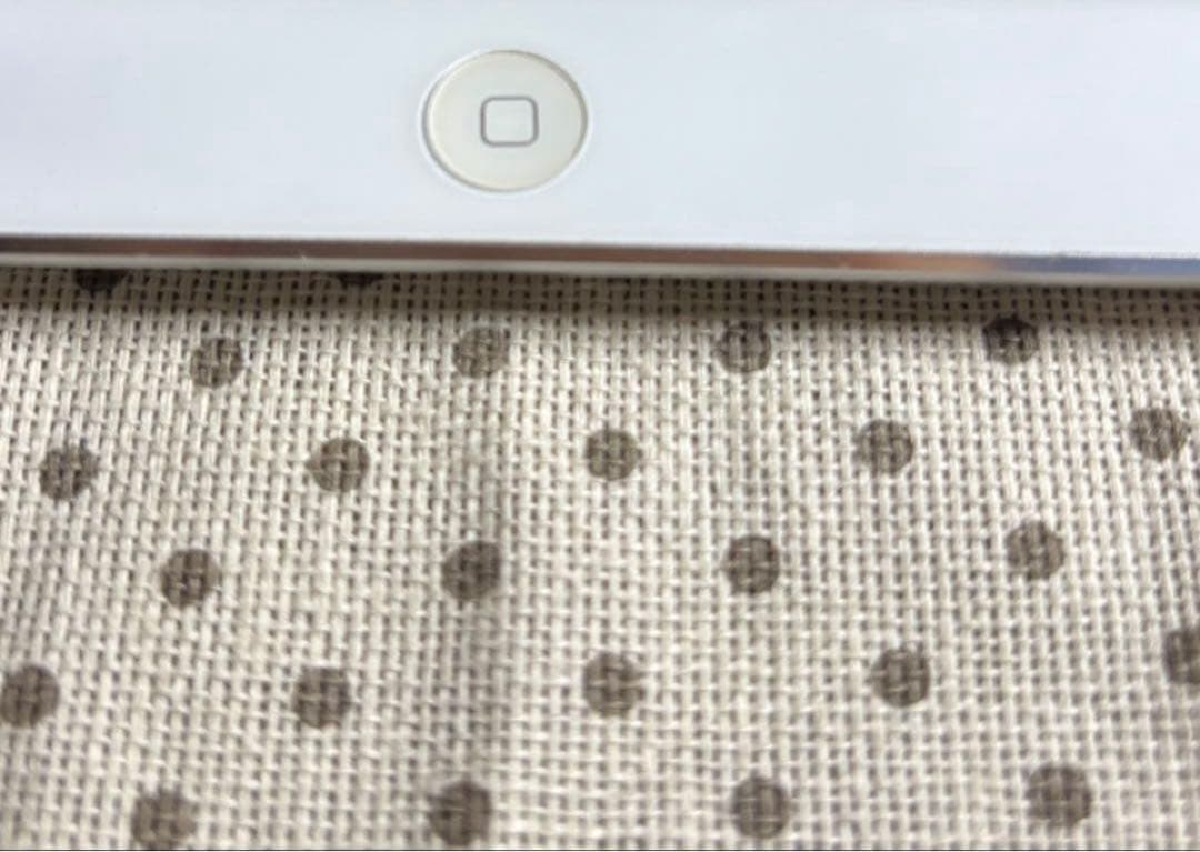 iPad Air 64GB (モデル A1474) Wifi 本体 ケース付き