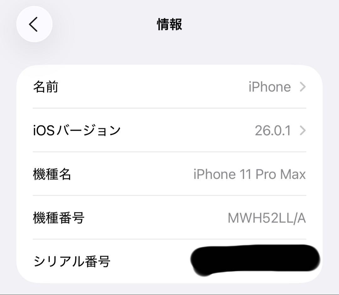 m*i様 Apple iPhone 11 Pro Max 256GB