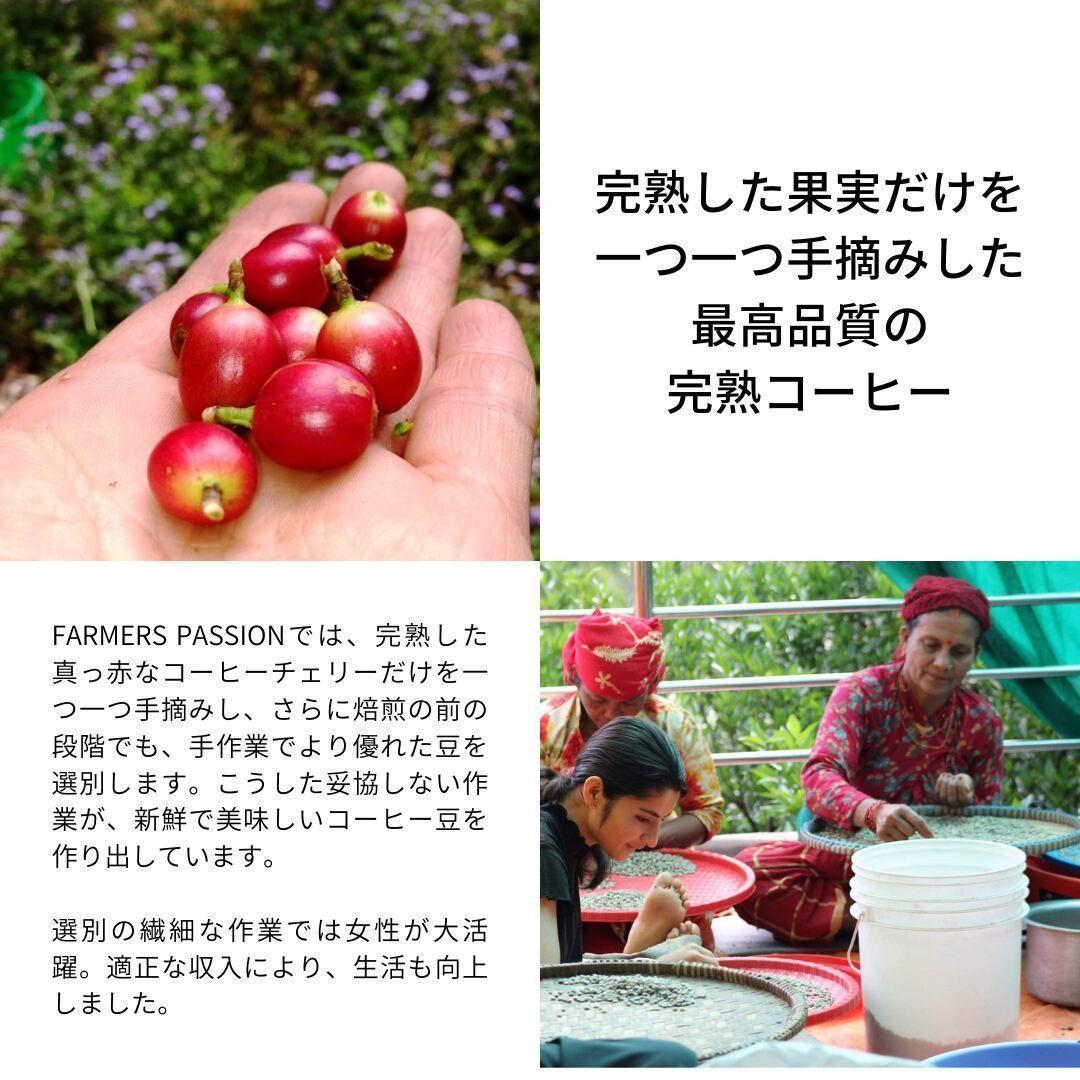 ☆オーガニックコーヒー ライト フェアトレード 1kg 粉 コーヒー豆 ネパール