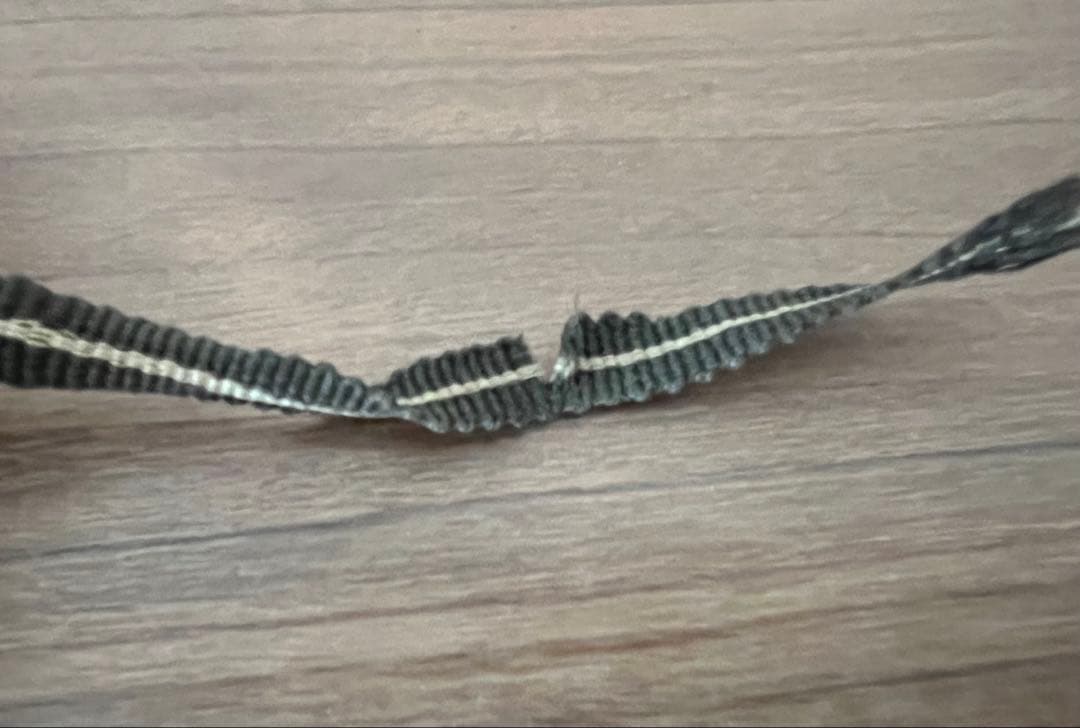 茶道具 志野焼 絵志野 香合(花押有)箱付き 箱書有 江戸千家 如心斎 弧峰