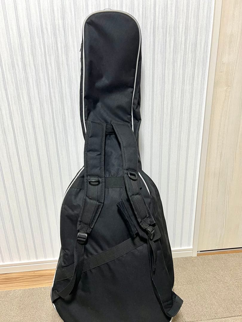 Epiphoneエレアコ DovePROギグバッグ