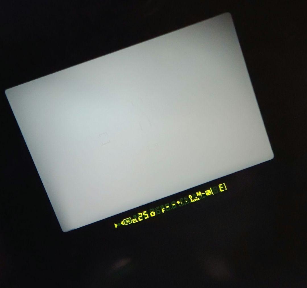 極上美品　 Nikon F100 動作確認済