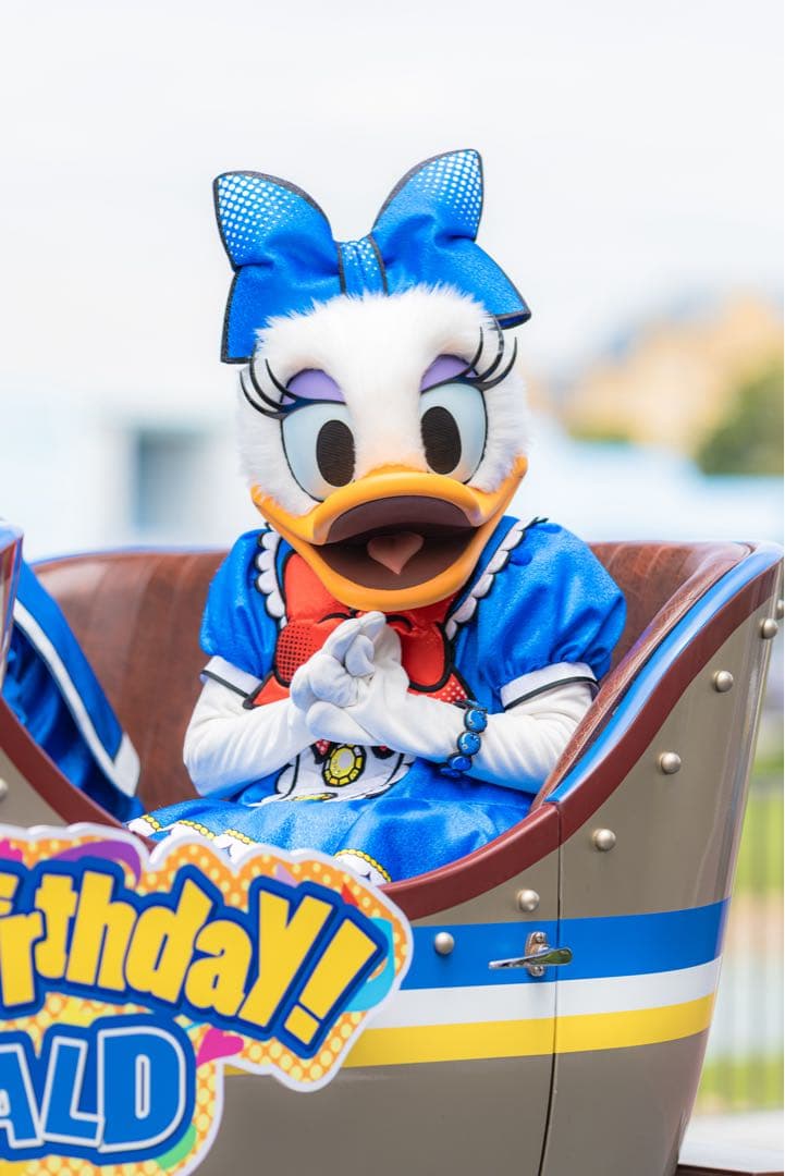 Canon EOS R 純正バッテリーグリップ付き