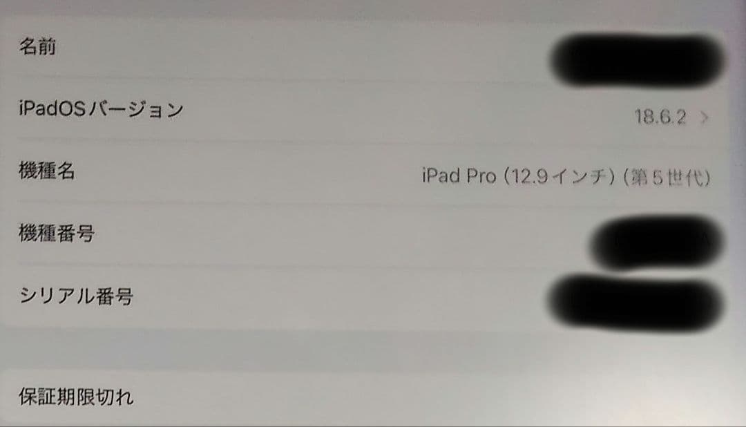 iPad Pro 12.9 第5世代 128GB グレー 箱無し 中古品